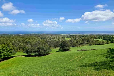 /international/pt/ribeira-grande-azores-310099741486/?lang=zh-tw