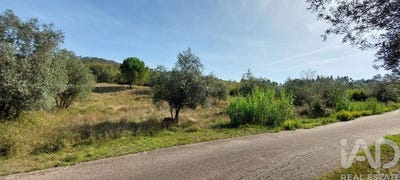 /international/pt/leiria-leiria-310098816297/