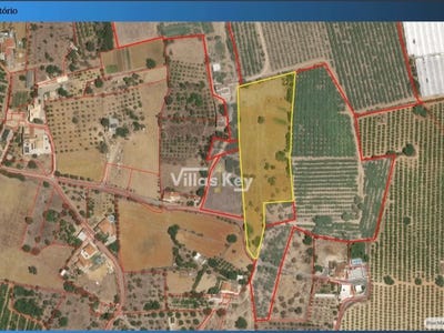 /international/pt/estoi-faro-310106080297/