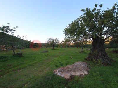 /international/pt/sao-bras-de-alportel-faro-310100006464/