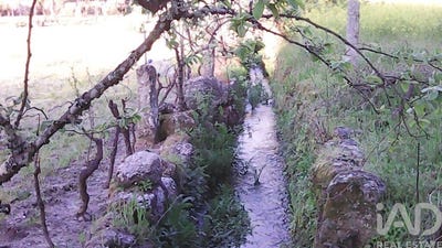 /international/pt/guarda-guarda-120086292204/