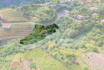 /international/pt/sao-jorge-madeira-310104337905/
