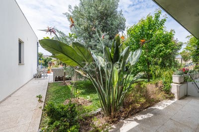 /international/pt/esposende-braga-310108037831/