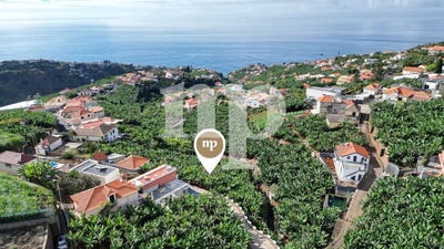 /international/pt/ponta-do-sol-madeira-310108134026/