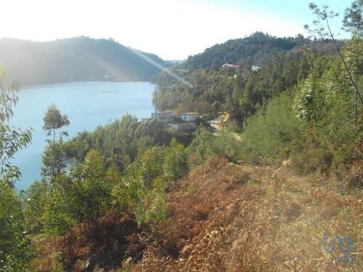 /international/pt/leiria-leiria-310097299493/