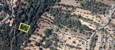 /international/pt/santarem-santarem-310108181775/