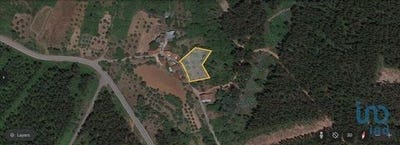 /international/pt/penela-coimbra-120089949766/