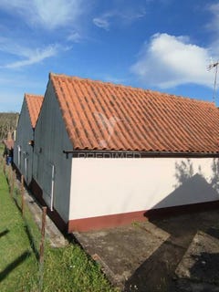 /international/pt/beco-ferreira-do-zezere-santarem-310100135160/
