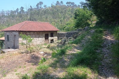 /international/pt/santo-tirso-braga-120092069201/