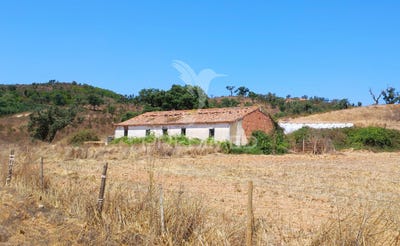 /international/pt/sao-salvador-e-santa-maria-odemira-beja-310094568708/