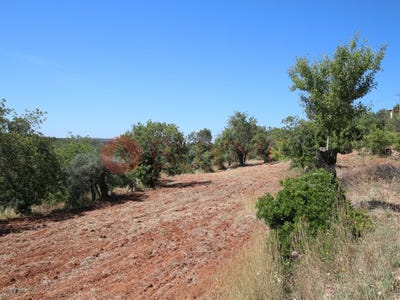 /international/pt/sao-bras-de-alportel-faro-310100008358/