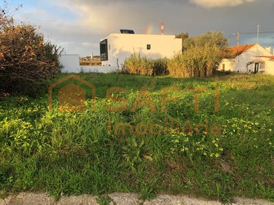 /international/pt/meia-via-santarem-310100484476/