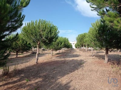 /international/pt/lisboa-lisbon-310095473025/