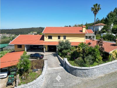 /international/pt/raiva-coimbra-310099740007/