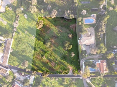 /international/pt/boliqueime-madeira-310100376967/