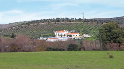 /international/pt/nossa-senhora-da-expectao-portalegre-district-310107677065/