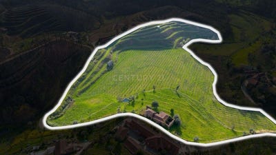 /international/pt/moreira-do-castelo-braga-310098636017/