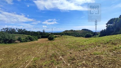 /international/pt/sao-roque-azores-310103462982/