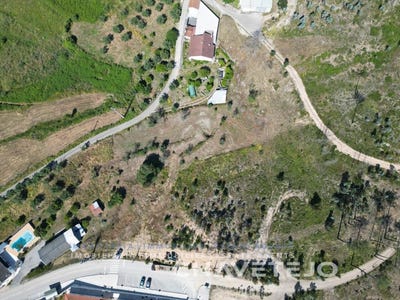 /international/pt/urqueira-santarem-310098147092/