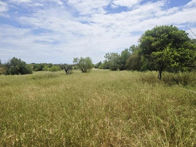 /international/pt/tavira-santiago-faro-310099286993/