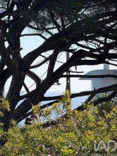/international/pt/lisboa-lisbon-310108558681/