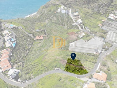 /international/pt/ribeira-brava-madeira-310096794363/