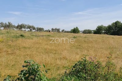 /international/pt/campo-maior-portalegre-120091307276/?lang=en
