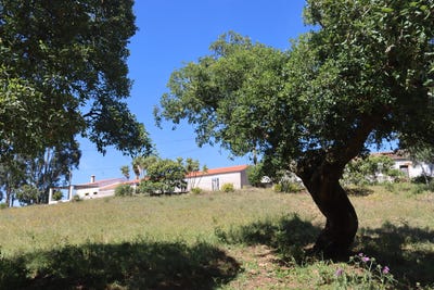 /international/pt/aljezur-faro-310101497423/?lang=pt