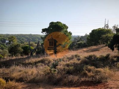 /international/pt/azeda-castro-marim-faro-310103139605/
