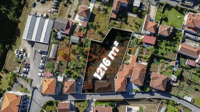 /international/pt/serzedelo-braga-310108483459/