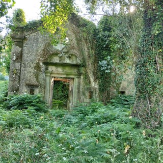 /international/pt/anais-viana-do-castelo-310101018185/
