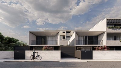 /international/pt/palmeira-braga-310098102650/