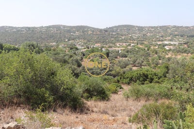 /international/pt/sao-bras-de-alportel-faro-310100914580/