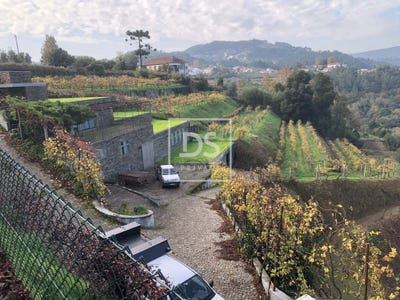/international/pt/fornos-setubal-municipality-310099054396/