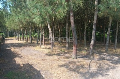 /international/pt/montemor-o-velho-coimbra-310100731681/?lang=zh-tw