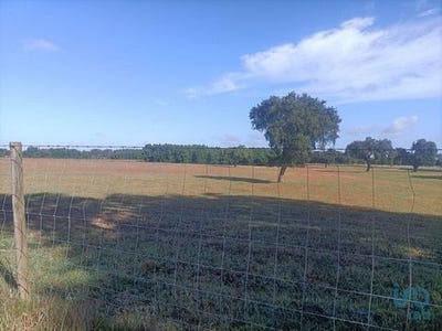 /international/pt/montijo-setubal-municipality-310100115321/