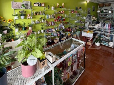 /international/pt/monchique-faro-310108000776/