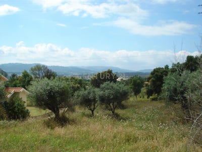 /international/pt/malpartida-sao-miguel-de-poiares-coimbra-310108484293/