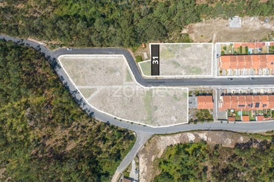 /international/pt/oliveira-de-azemeis-aveiro-310101879721/