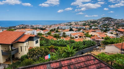 /international/pt/caminho-de-santana-ilha-da-madeira-madeira-310094695169/