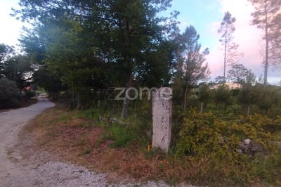 /international/pt/mangualde-viseu-310108211596/