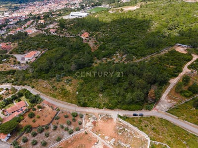 /international/pt/carreiro-das-trepadas-mira-de-aire-leiria-310108835775/