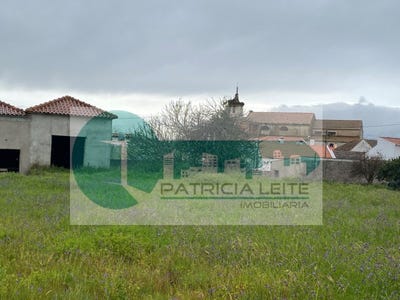 /international/pt/manique-do-intendente-lisbon-310099844107/