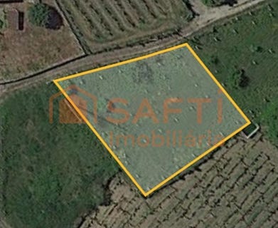 /international/pt/pias-santarem-310100484562/