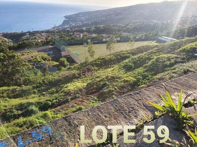 /international/pt/ilha-da-madeira-madeira-310098101895/