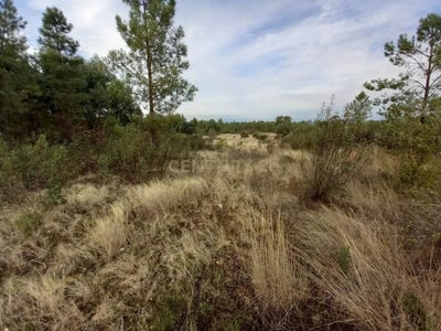 /international/pt/qcj9-p9-retaxo-portugal-benquerencas-castelo-branco-310105248646/