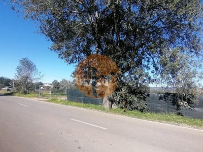 /international/pt/moncarapacho-faro-310105016101/