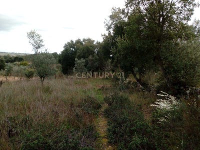 /international/pt/rabadao-salgueiro-do-campo-castelo-branco-310105230322/