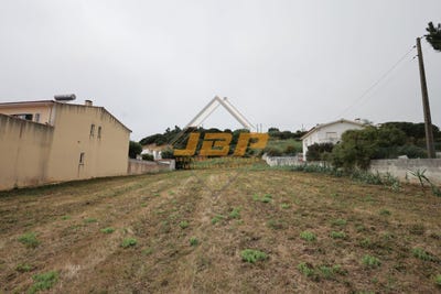 /international/pt/alcobaca-viana-do-castelo-310101563848/