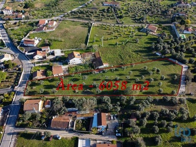 /international/pt/santarem-santarem-310097747030/